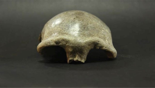 More Denisovan connections