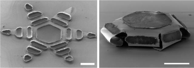 The Tiny ‘Stars’ Helping to Heal