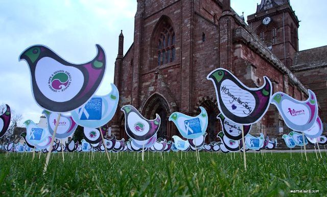 #16Days of Action #peediebirds