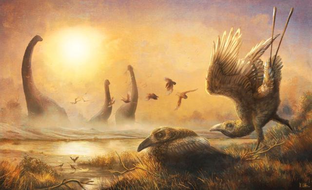Madagascar Fossil ‘Bird’ Discovery
