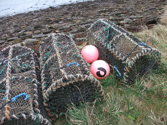 The Clearances Again