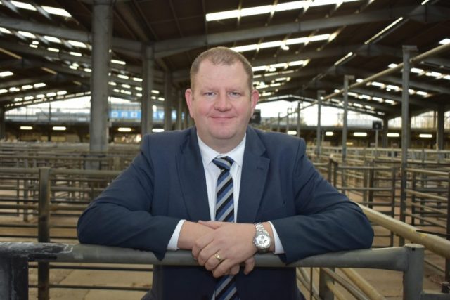 Strong Performance in Scotland’s Marts