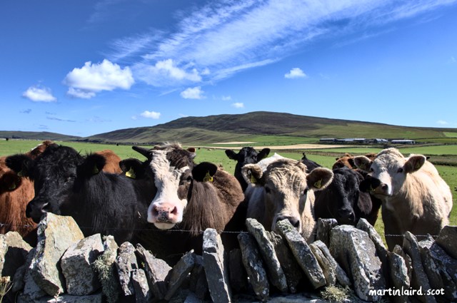 Weather Forecast: Mainly dry with sunny spells.