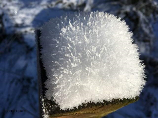 Online course takes an in-depth look at the rise of persecution and executions for witchcraft in Scotland.