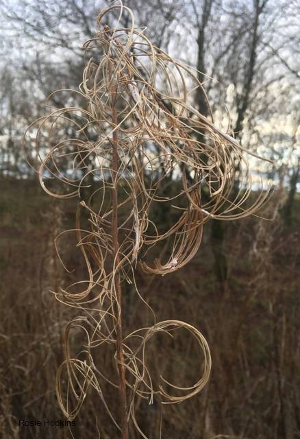 “The World is an ever weaving tapestry”