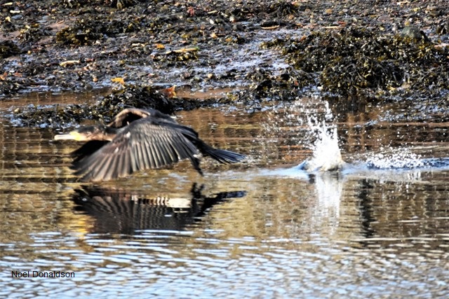 Weather Forecast: A few showers in the morning. Becoming cloudy, rain later.