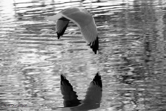 Weather Forecast: Scattered light showers between, limited brighter spells. Strong westerly winds.