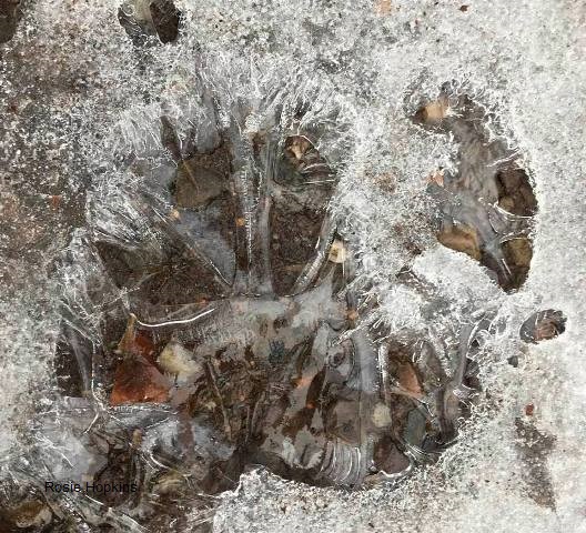 “Life is only a flicker of melted ice.” ― Dejan Stojanovic