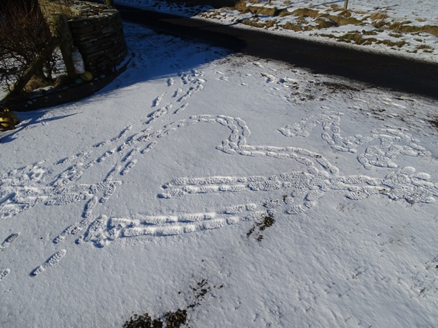 It’s Not All Heart-Shaped Chocolate Boxes