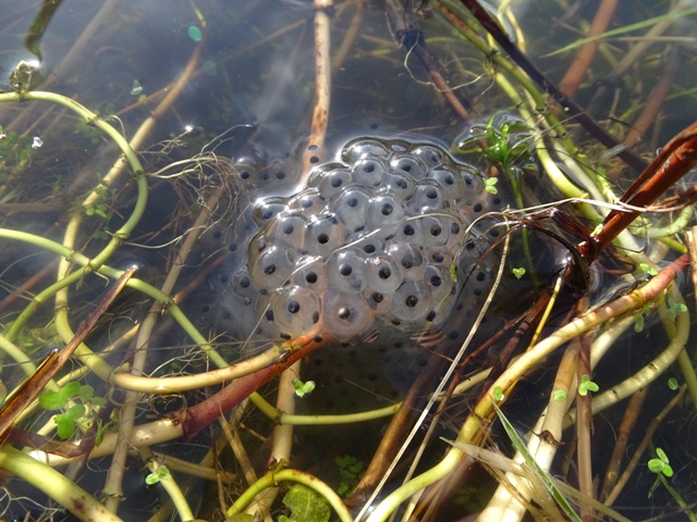 Week Eight – One Day At A Time