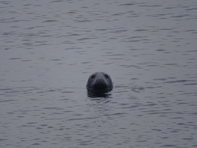 Weather Forecast : Cloudy at times