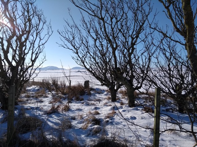 Poetry Corner: It Sifts From Leaden Skies