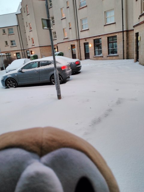 Around Orkney in the #Snow