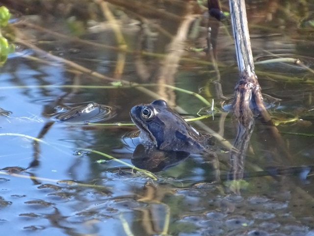 Week Nine – One Day At A Time