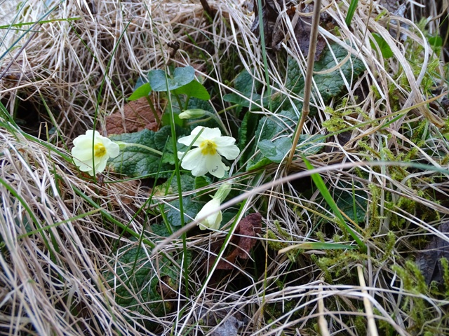 Week Eleven – One Day At A Time