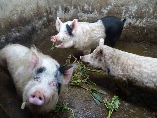 Week Twelve – One Day At A Time