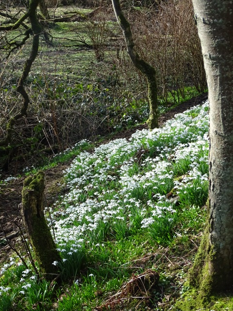 Weather Forecast: Mainly dry today