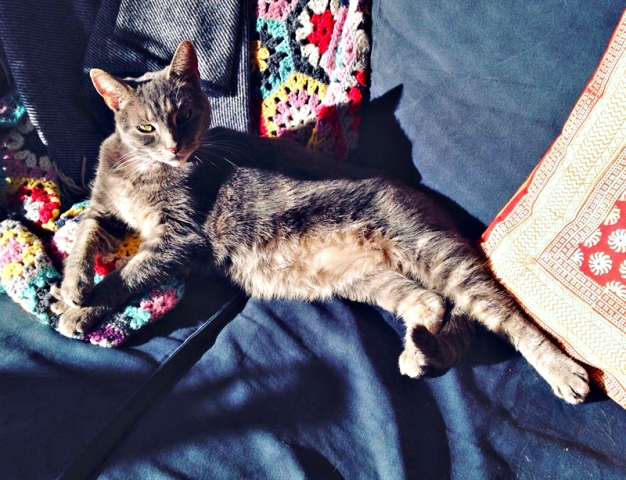 The Great Big Art Exhibition