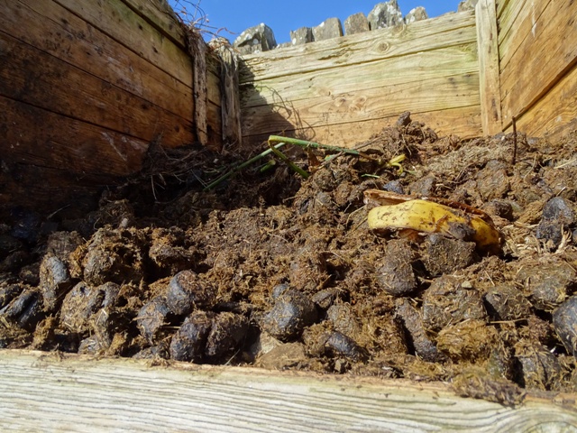 Week Sixteen – One Day At A Time