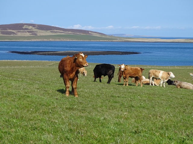 Week Seventeen – One Day At A Time