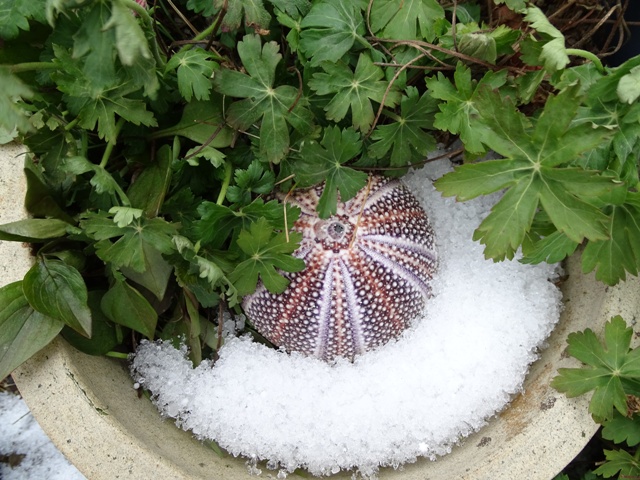 The Brighter Side Of Snow In April…..