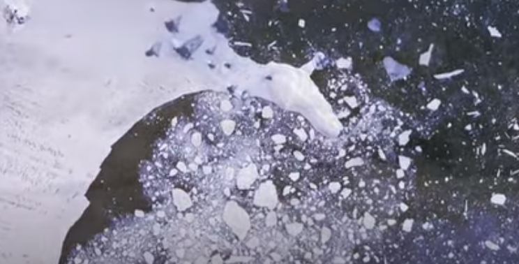 “It’s like a giant cork being removed from a bottle”: Melting Antarctic Ice Shelf