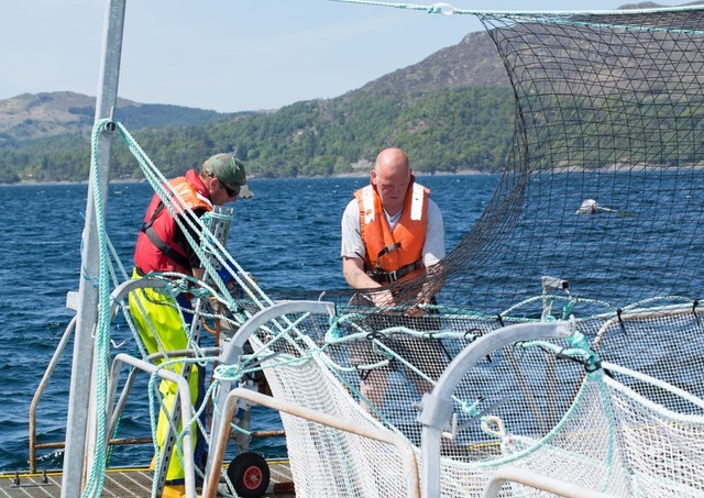 ‘A Meeting of Minds 2’ Online Event Exploring Innovation in Scotland’s Aquaculture Sector