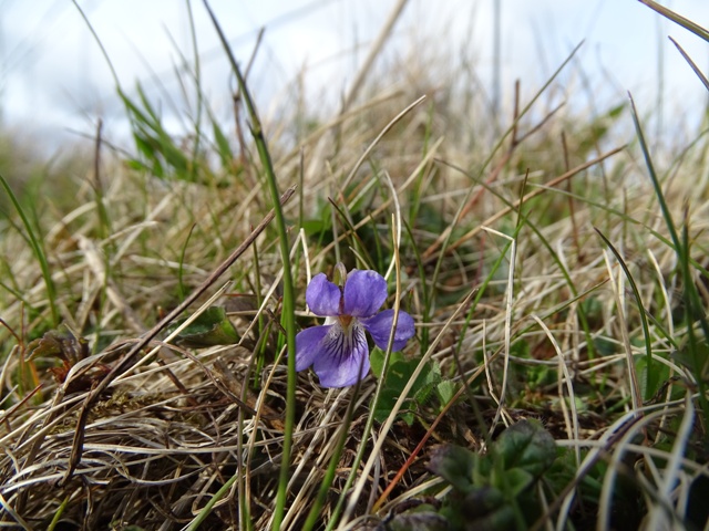 Week Eighteen – One Day At A Time