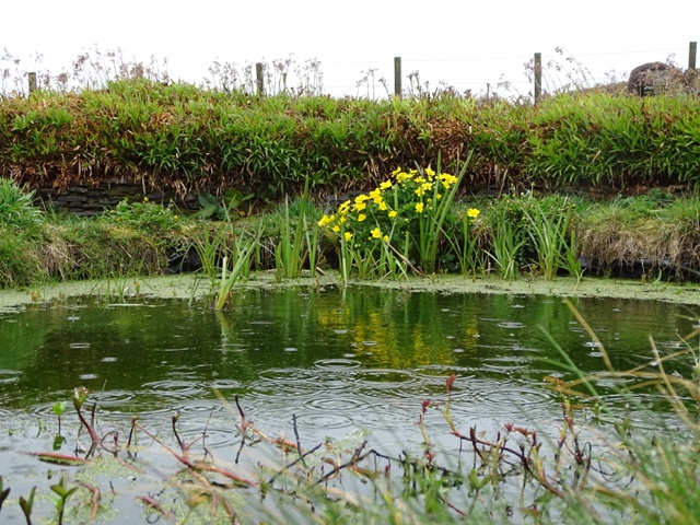 Week Nineteen – One Day At A Time