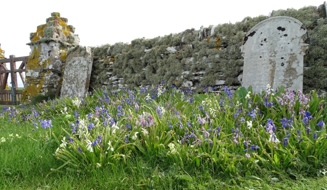 Week Twenty-one – One Day At A Time