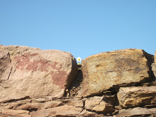 A Journey Into The Underworld