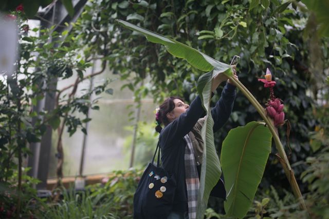 The Fascination of Plants