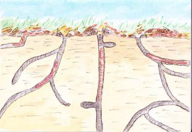 Hurrah For Earthworms!!!  Or – The Return of the Native.