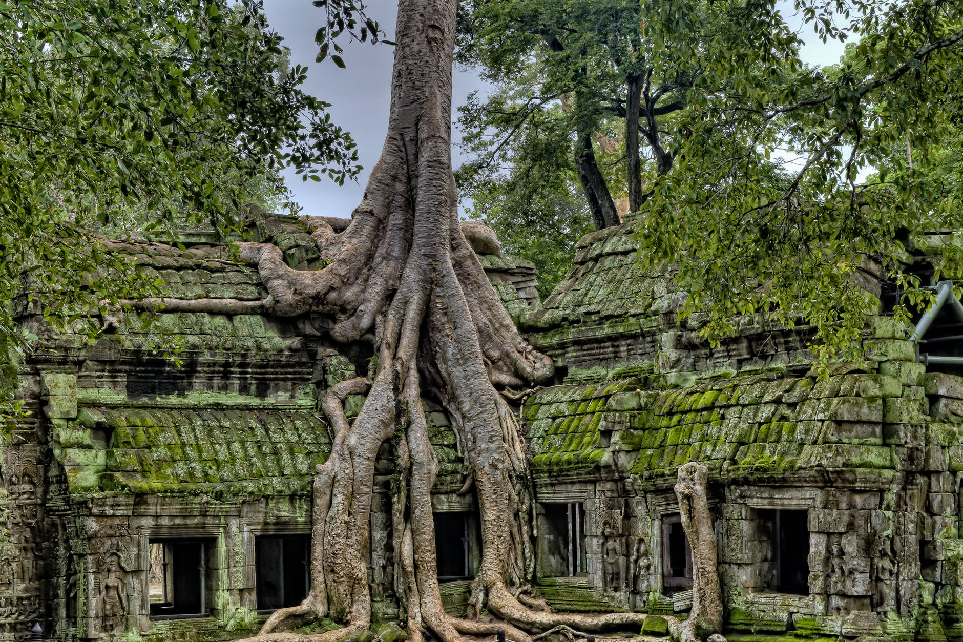 Revealing the Forest Hidden Past of Angkor