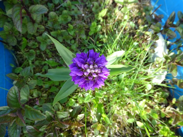 Week Twenty-three – One Day At A Time