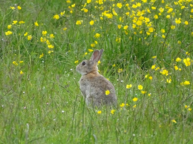 Week Twenty-five – One Day At A Time