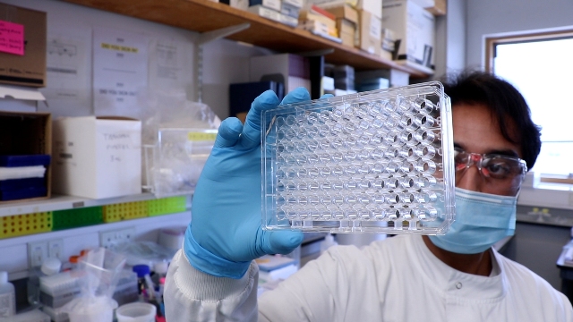New Antibody Tests That Can Detect Variants #Covid19