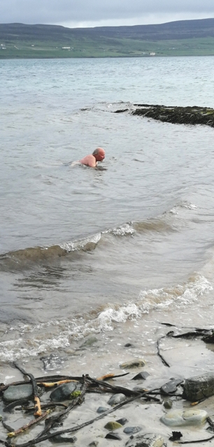 Is It A Whale?  Is it a Walrus?  Is It The Deepdale Monster?