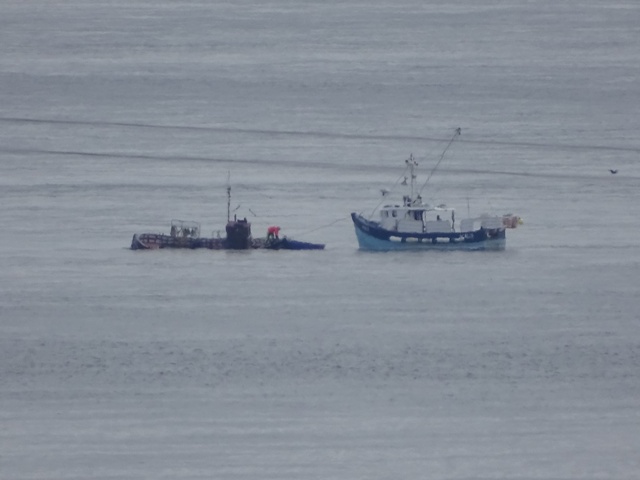 A Modern Maritime Saga!