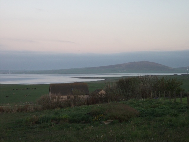 Poetry Corner: Bed in Summer