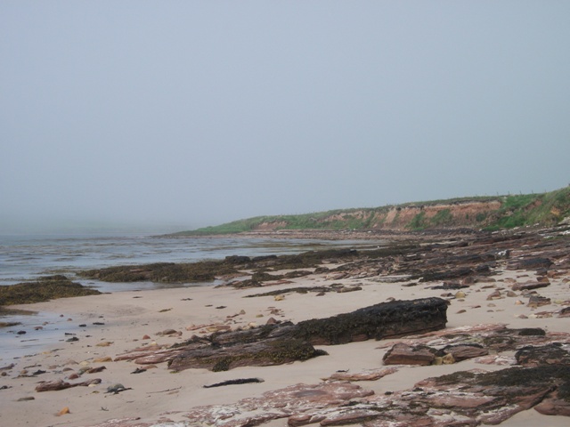 The Misty Moisty Oyce Of Quindry