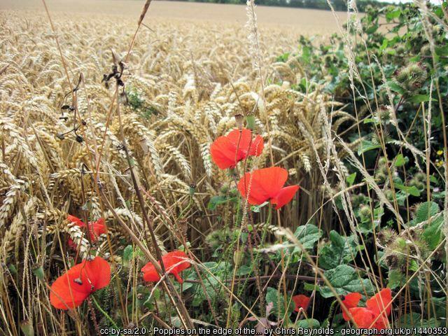 Talking Of Times Past