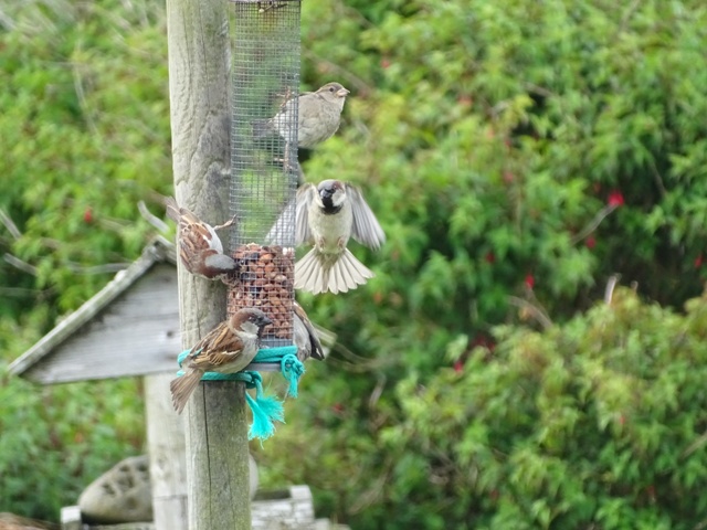 Week Twenty-Seven – One Day At A Time