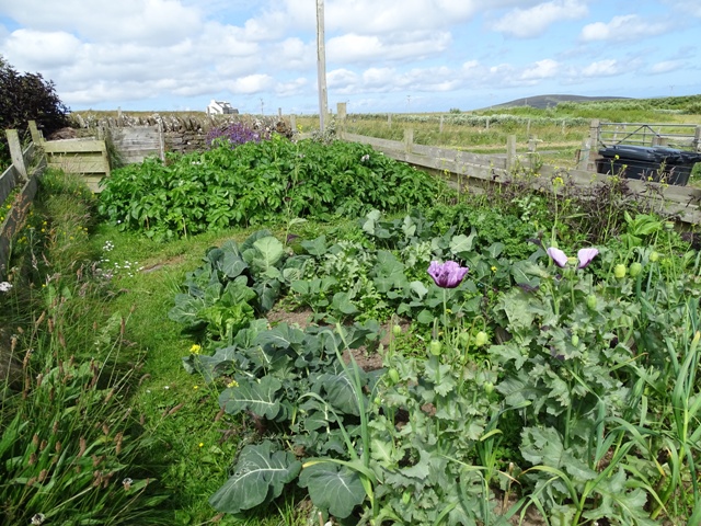 Week Twenty-eight – One Day At A Time