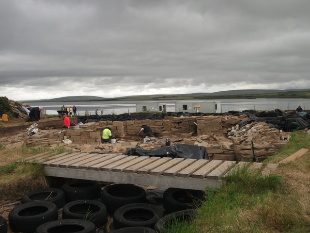 Holy Moly – Neolithic Wood!!!!