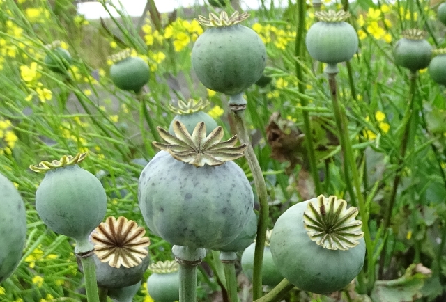 Week Thirty-three – One Day At A Time