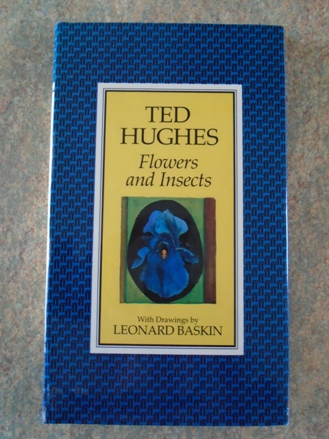 A Bit Of An Odd Thing