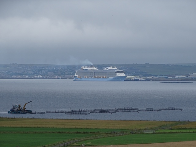 Poetry Corner: Got Them Big Old, Bad Old, Liner’s Back Blues