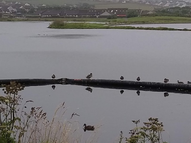 Weather Forecast: Cloudy, showery start to Saturday. Becoming drier, a little brighter.