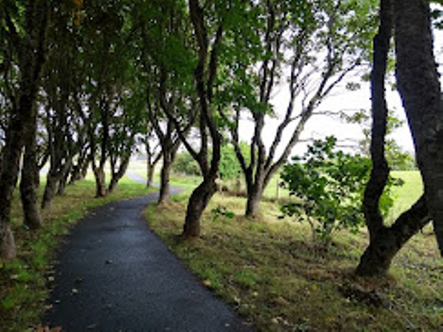 Weather Forecast: A few showers today